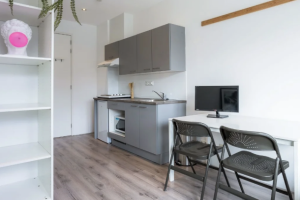 Te huur: Woning Mauritsstraat, Eindhoven - 1