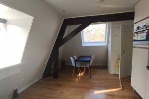 Te huur: Appartement Hertogstraat, Eindhoven - 1