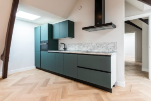 For rent: Apartment Denneweg, Den Haag - 1