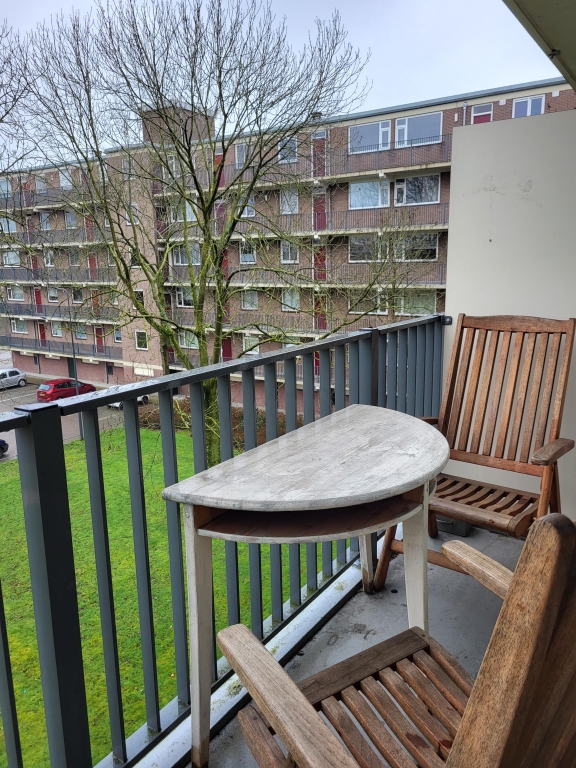 For rent: Apartment Maassingel, Den Bosch - 11
