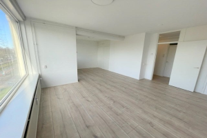 For rent: Apartment Wilgenplaslaan, Rotterdam - 1
