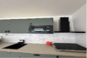 For rent: Studio Capadosestraat, Den Haag - 1