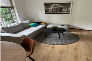 Te huur: Appartement Bennekelstraat, Eindhoven - 1
