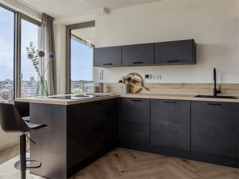 Te huur: Appartement Vliegerstraat, Leiden - 3