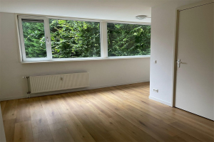 Te huur: Appartement Schouwburgring, Tilburg - 1