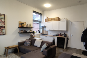 For rent: Studio Petrus Campersingel, Groningen - 1