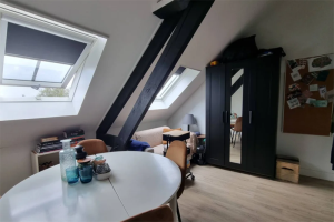 For rent: Studio Haagdijk, Breda - 1