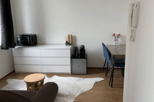 For rent: Studio Wittebollestraat, Tilburg - 1