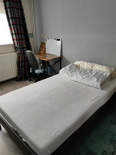 For rent: Room Berckheydestraat, Ede - 3