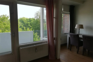 For rent: Room Professor Cobbenhagenlaan, Tilburg - 1