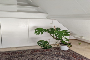 Te huur: Appartement Mallemolen, Den Haag - 1