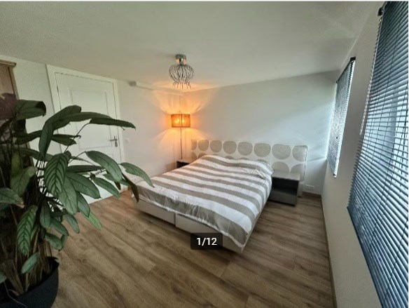 For rent: Apartment Parallelweg, Vlaardingen - 10