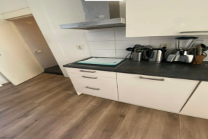 Te huur: Appartement Ringbaan-Oost, Tilburg - 1