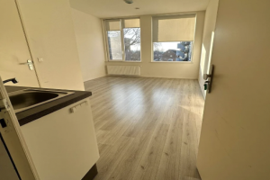 Te huur: Studio Pluvierstraat, Enschede - 1