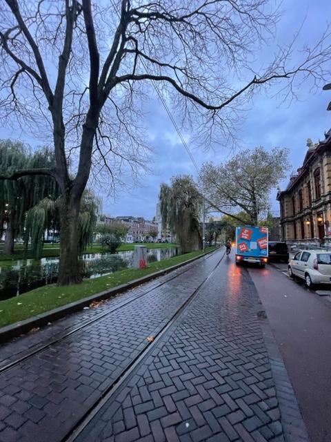 Te huur: Appartement Noordsingel, Rotterdam - 45