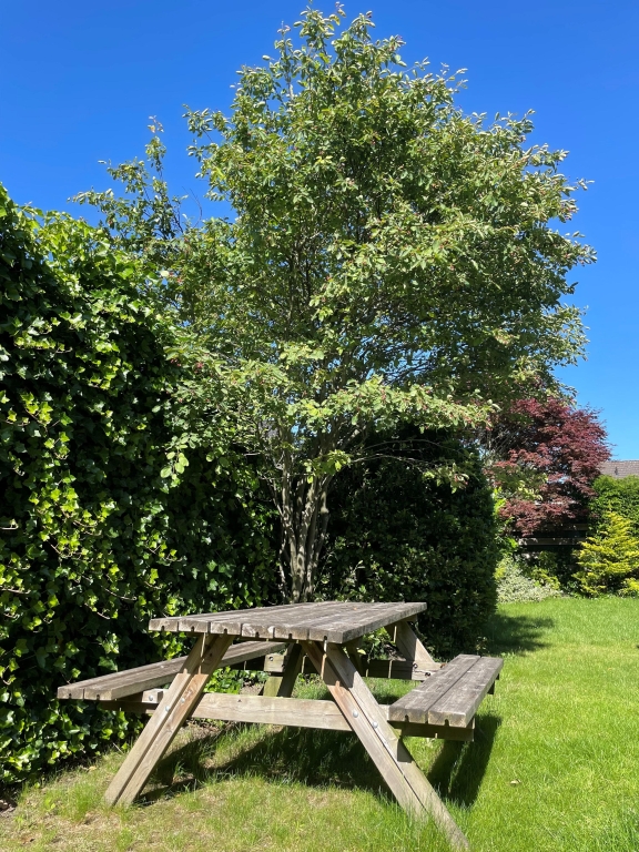 Te huur: Woning Bremlaan, Loosdrecht - 17