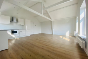 Te huur: Appartement Vijzelstraat, Den Haag - 1