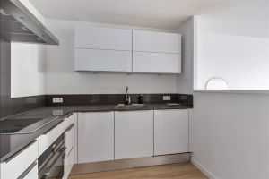 Te huur: Appartement Gedempte Zalmhaven, Rotterdam - 1