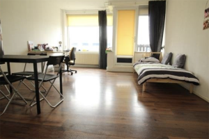 Te huur: Appartement Roelof van Schevenstraat, Enschede - 1