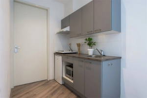 Te huur: Studio Mauritsstraat, Eindhoven - 1