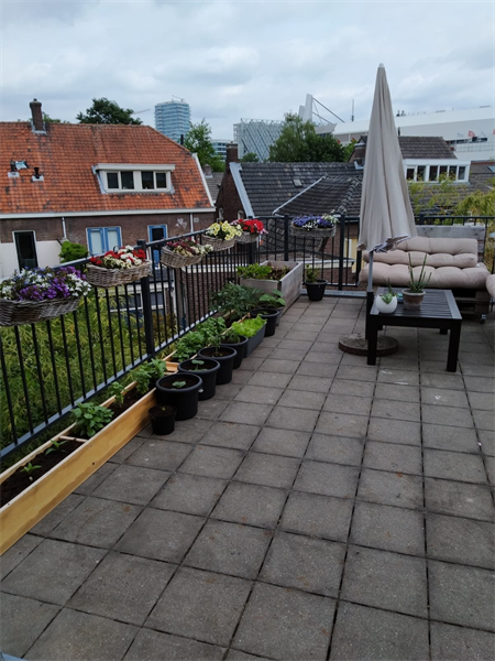 Te huur: Appartement Willemstraat, Eindhoven - 3