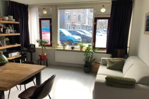 For rent: Apartment Wittevrouwensingel, Utrecht - 1