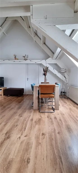 Te huur: Appartement Donkere Spaarne, Haarlem - 4