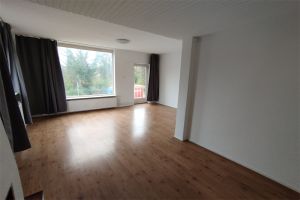 For rent: Apartment St Bonifaciuslaan, Eindhoven - 1
