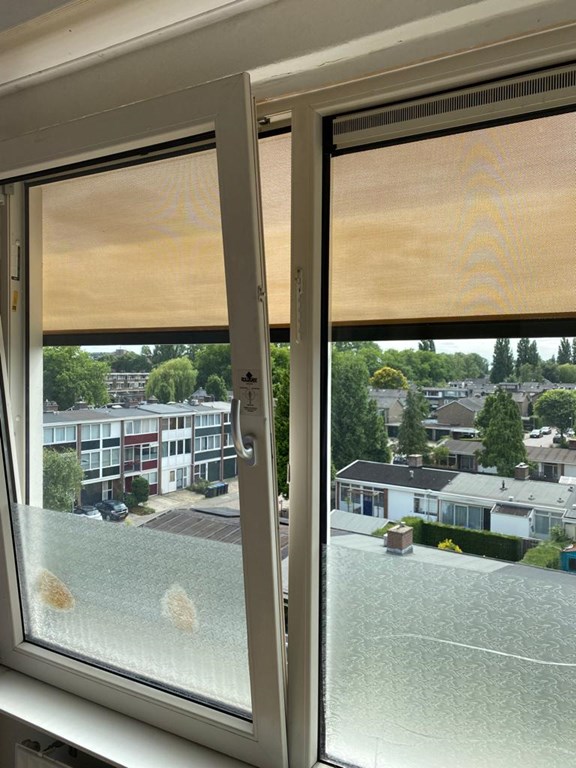For rent: Room De Houtmanstraat, Arnhem - 3