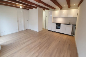 For rent: Apartment Donkere Spaarne, Haarlem - 1