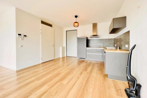 For rent: Studio Laakweg, Den Haag - 1