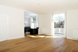For rent: Apartment Anna Paulownastraat, Den Haag - 1