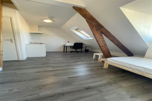 Te huur: Studio Woenselsestraat, Eindhoven - 1