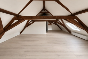 For rent: Apartment Elisabeth Gasthuishof, Leiden - 1