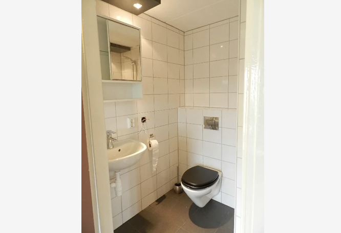 For rent: Apartment Pieter Kiesstraat, Haarlem - 4