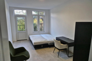 For rent: Apartment Lasondersingel, Enschede - 1