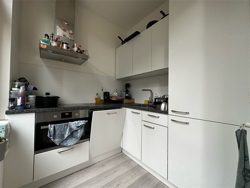 For rent: Apartment Diergaardesingel, Rotterdam - 1