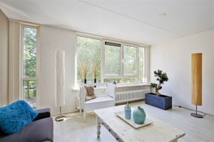 For rent: Apartment Engelenburg, Haarlem - 1