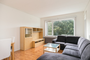 For rent: Apartment Bosseplaat, Rozenburg Zh - 1
