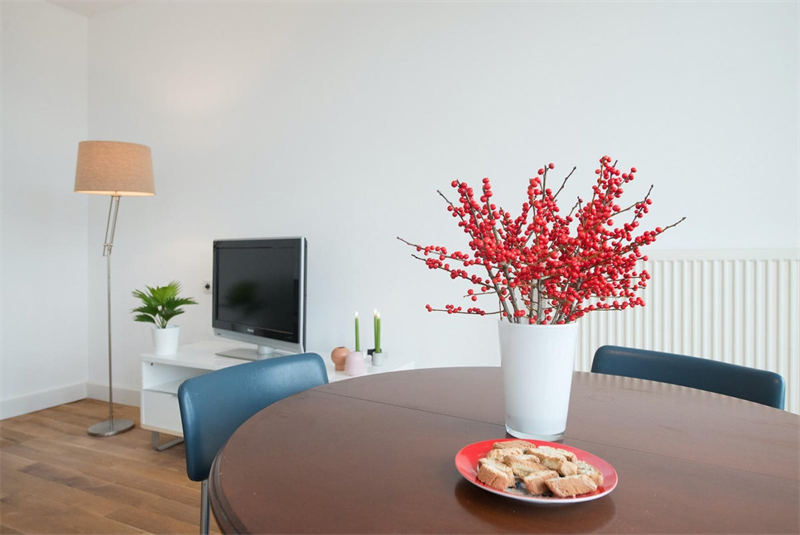 For rent: Apartment Stevinstraat, Den Haag - 4