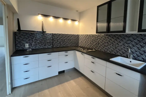 For rent: House Hildo Kroplaan, Den Haag - 1