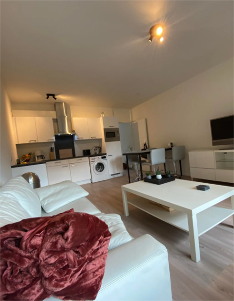 For rent: Apartment Franz Leharplein, Eindhoven - 1