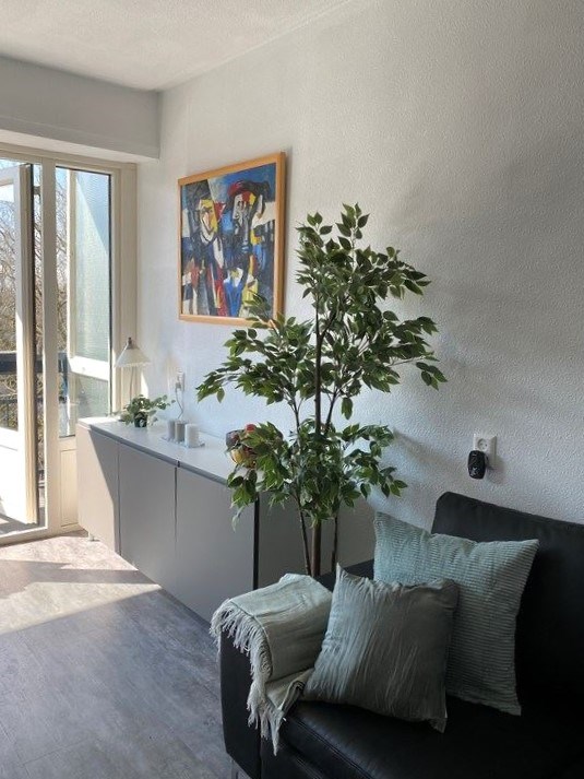 For rent: Apartment Hisveltplein, Arnhem - 15