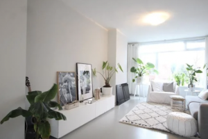 Te huur: Appartement Asserstraat, Leiden - 1