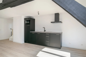 For rent: Apartment Hinthamerstraat, Den Bosch - 1