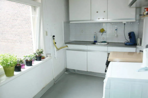 Te huur: Appartement Cartesiusdwarsstraat, Den Haag - 1