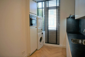 For rent: Apartment Blois van Treslongstraat, Den Haag - 1