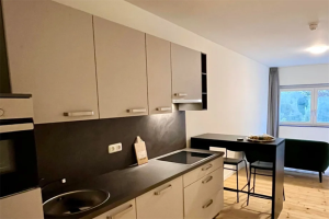 Te huur: Studio Cellebroedersstraat, Maastricht - 1