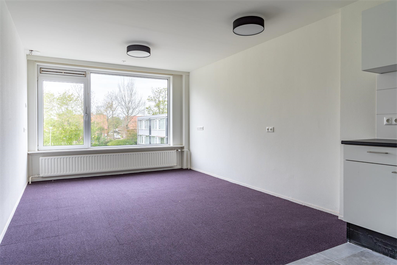 For rent: Apartment Nesserwei, Ternaard - 6