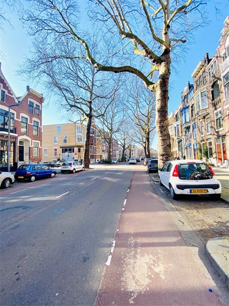 Te huur: Studio Rodenrijselaan, Rotterdam - 3